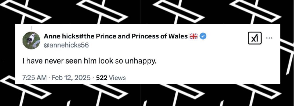 A netizen's comment on Prince Harry, dated February 12, 2025 | Source: X/annehicks56