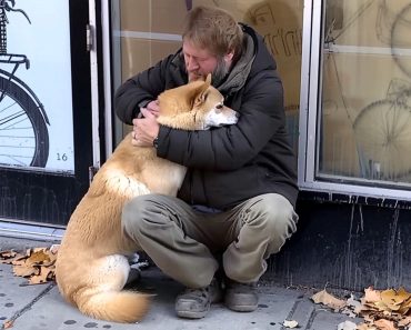 Dog Goes to Closed Store Daily then Leaves, One Evening Poor Boy Notices and Follows It — Story of the Day