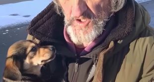 Homeless Man Asked Me to Take His Dog – A Month Later, I Received a Mysterious Letter