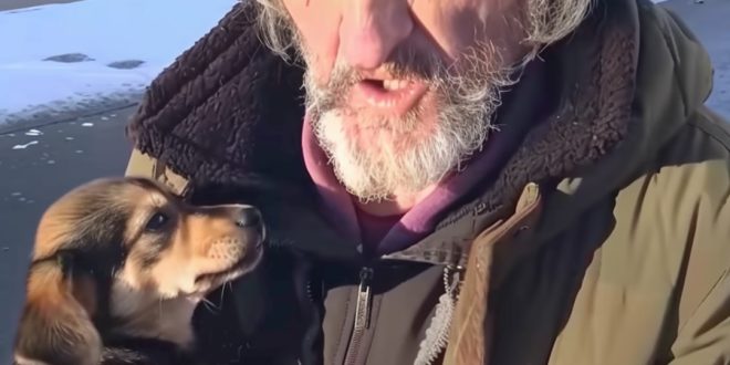 Homeless Man Asked Me to Take His Dog – A Month Later, I Received a Mysterious Letter