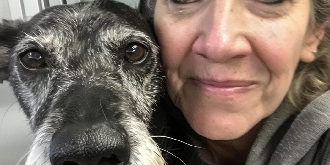 I Adopted the Oldest Shelter Dog, Knowing She Had Only a Month Left – My Goal Was to Make It Her Happiest