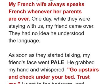 I Asked My Friend to Come over & His Ability to Speak French Revealed a Startling Family Drama