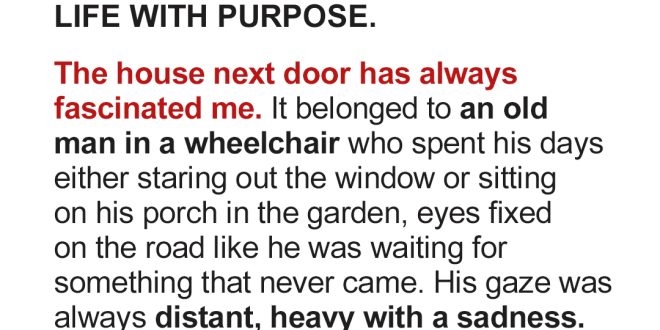 My Disabled Neighbor Never Smiled — One Day, I Filled His Life with Purpose