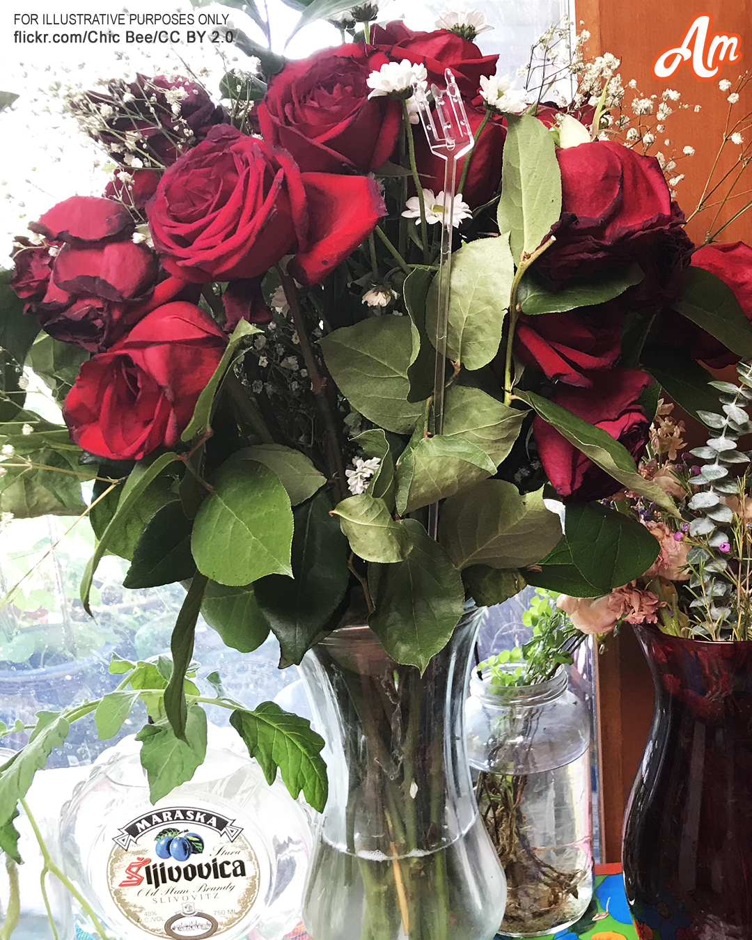 My Husband Gifted Me a Bouquet from a Dumpster — So I Returned the Favor