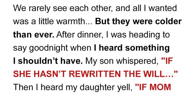 I Gathered My Family Under One Roof Only to Announce the New Terms of My Inheritance and Their True Faces Were Revealed — Story of the Day