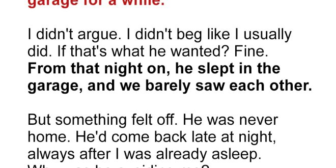 My Husband Argued with Me and Said He Would Live In the Garage – I Filed for Divorce After Entering There Unannounced One Day