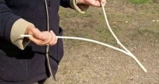 Uncovering the Mysteries of Water Dowsing